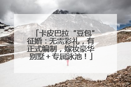 卡皮巴拉“豆包”征婚：无需彩礼，有正式编制，嫁妆豪华别墅＋专属泳池！